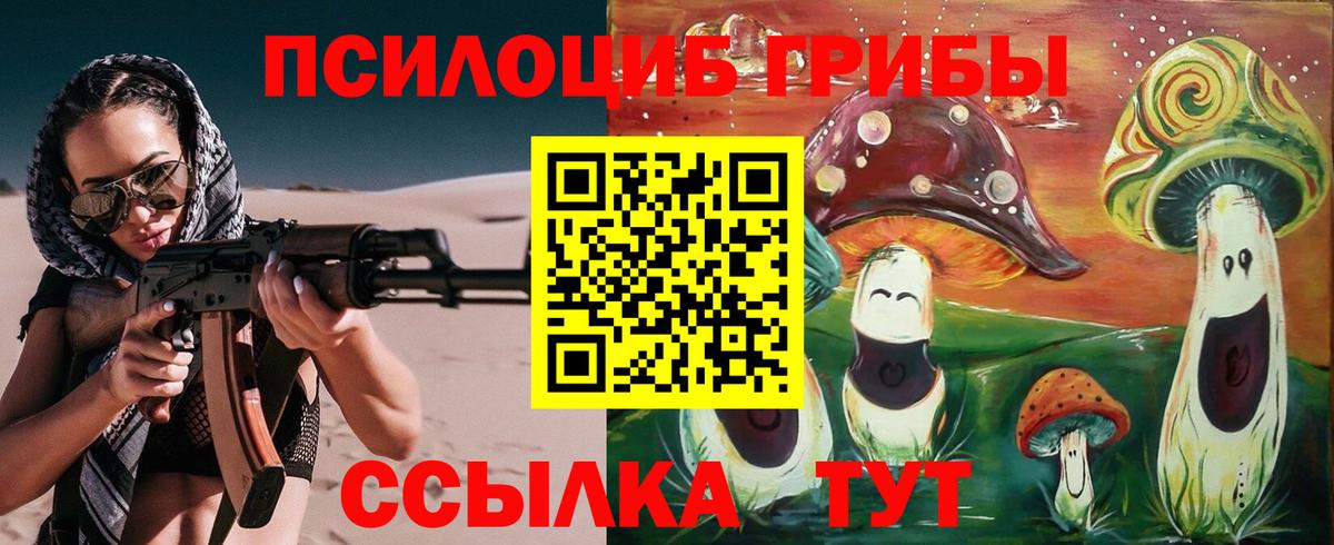 Сальск  Псилоцибиновые грибы ЛСД  что такое   Галлюциногенные грибы мицелий  Вход с VPN 